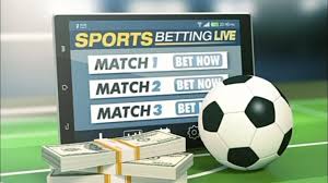 The World of Online Betting Exploring Viva Bet